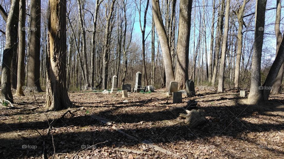 Cemetery, in Maryland