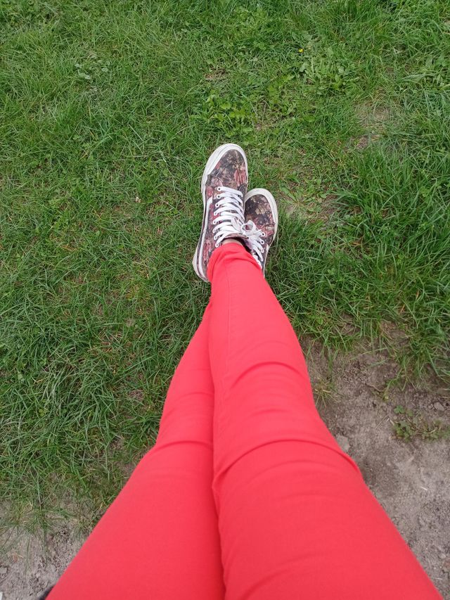 leg