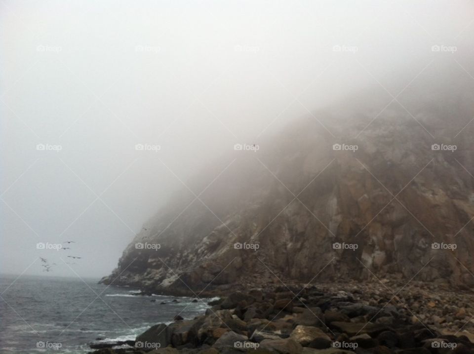 A foggy morning along the central coast .