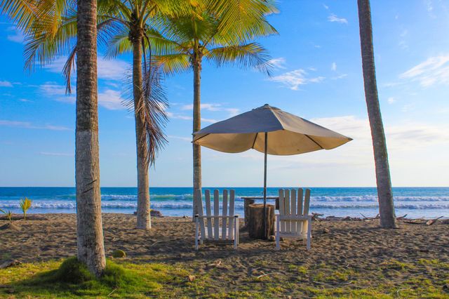 View of two wooden chairs and an umbrella among palm trees on Palosecobeach on the Pacific ocean.  Costa Rica