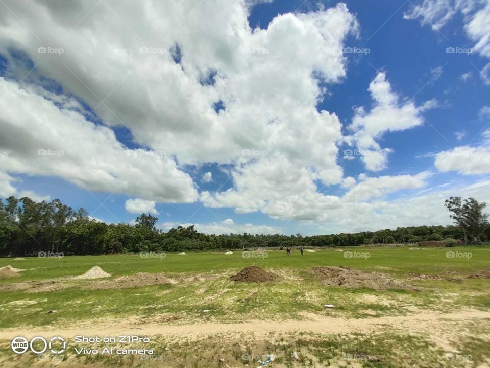 The perfect time to sing the nature song.