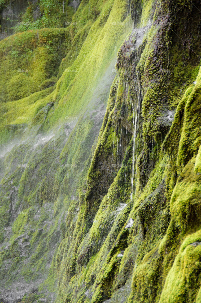 Waterfall on moss covered rocks