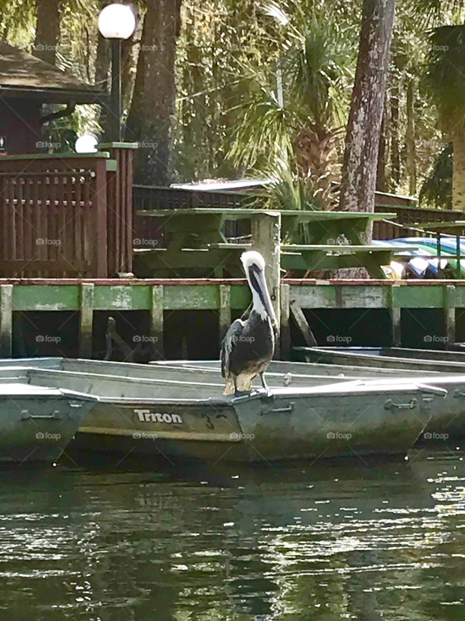 Pelican on board and ready to hit the river