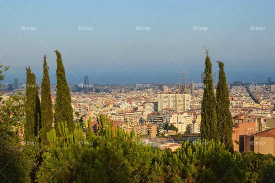 Park Guell and Barcelona 