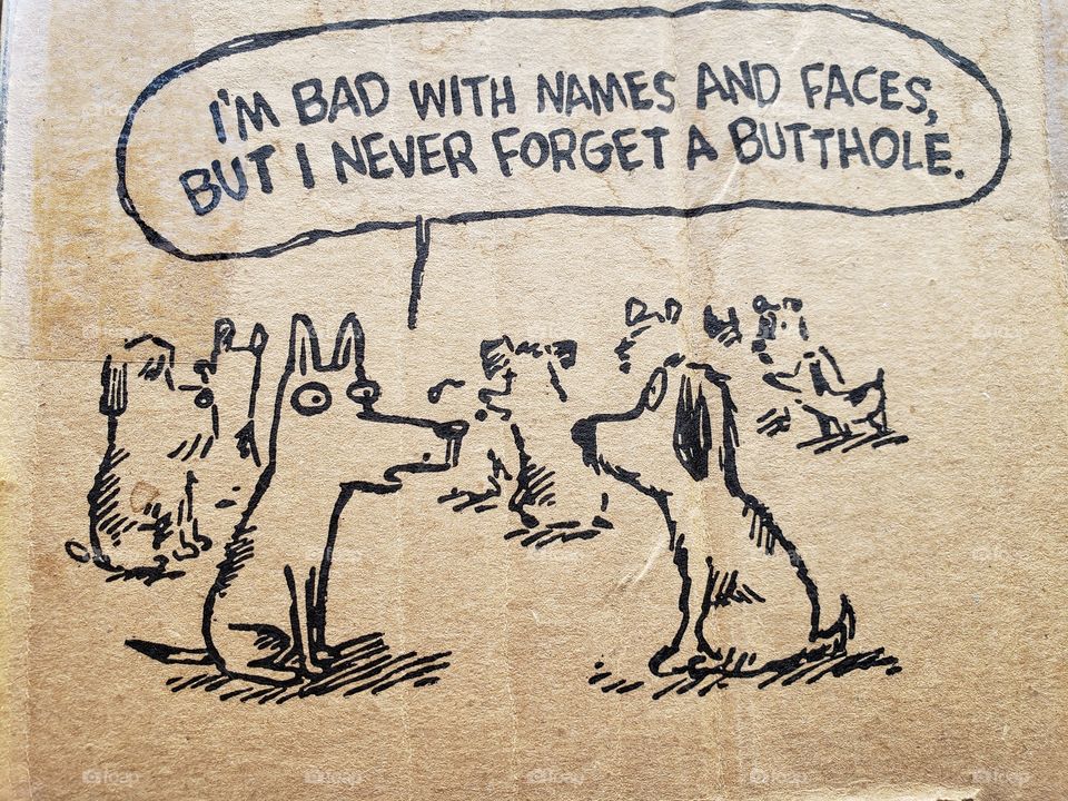 Dog joke drawing