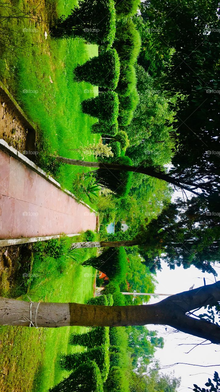 Nature is the creation of natural material and physical world on earth independent of the human activities.The beauty and richness of nature is diverse and massive 