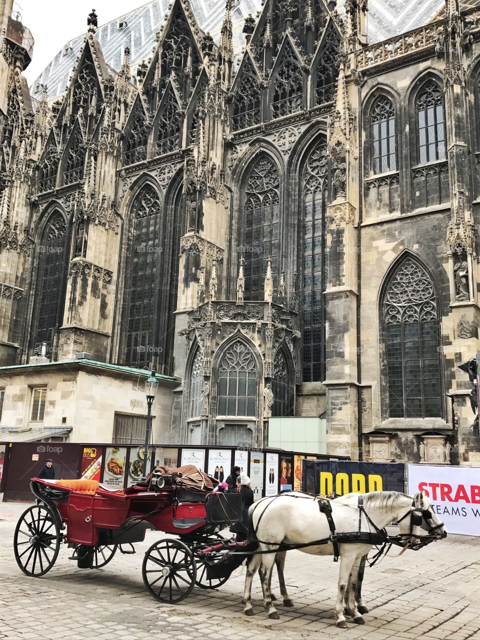Horse chariot ride in Vienna, Austria 