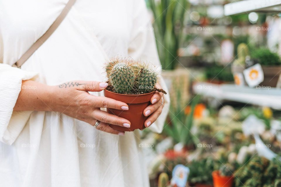 Adult woman in white dress holding cactus in pot in hands in flowers store 