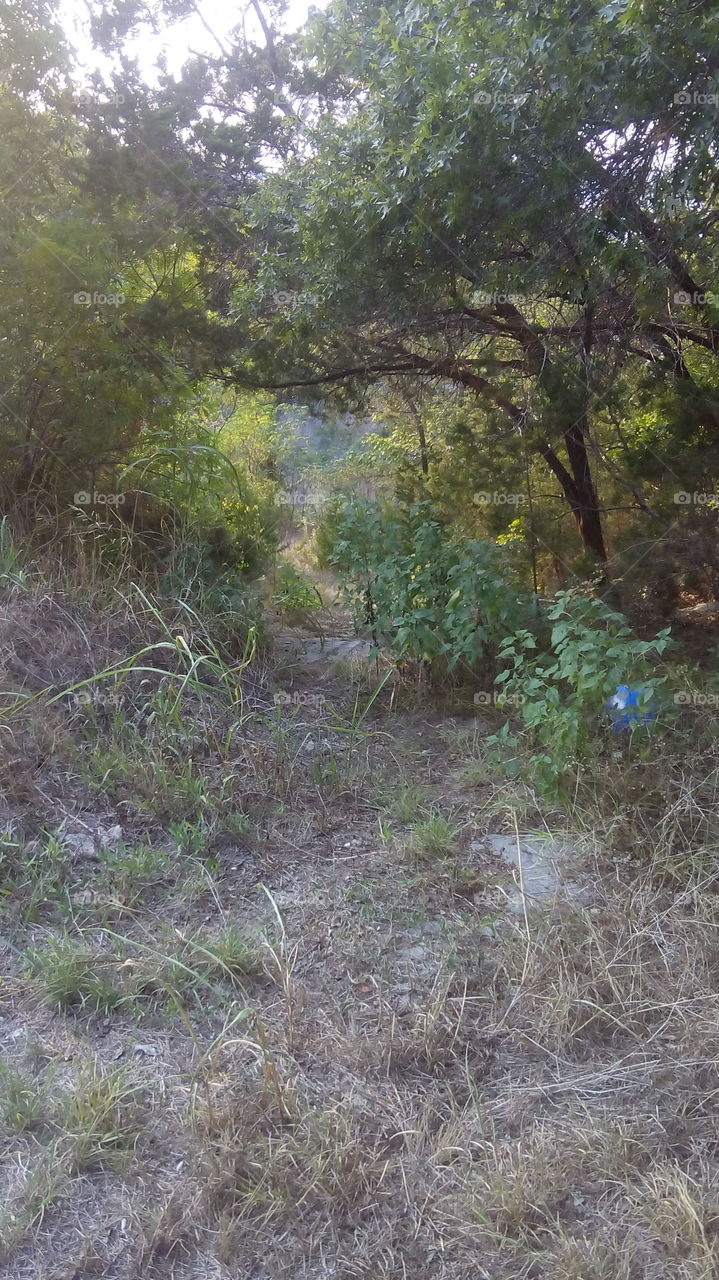 Walkway of the Downward Deer