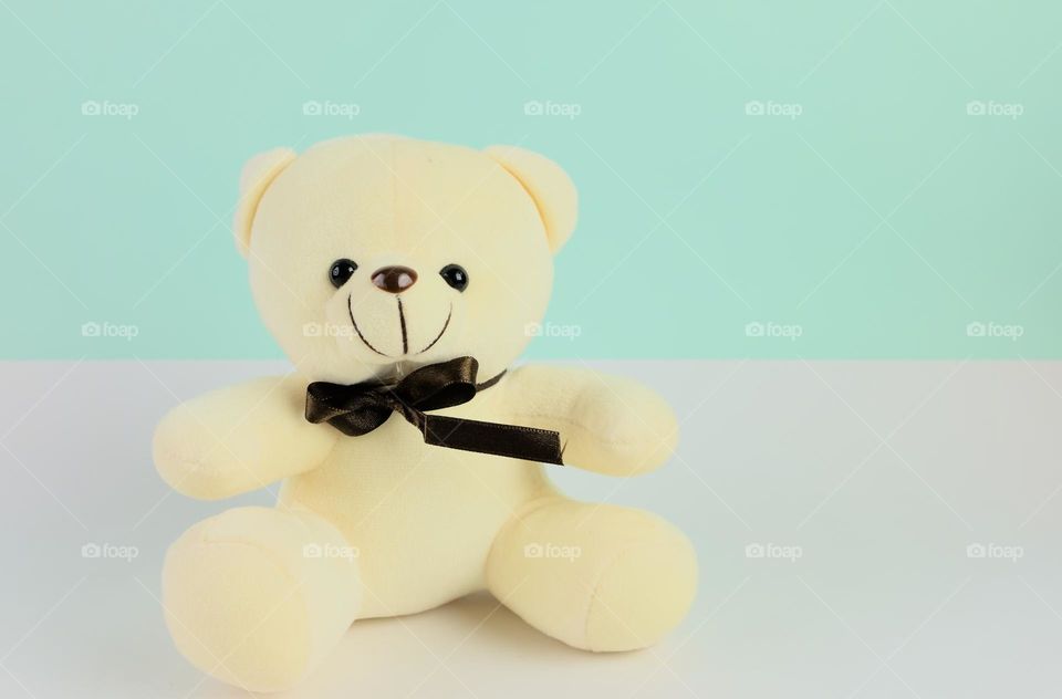 Teddy bear. Gift for the day of love. Bear doll.