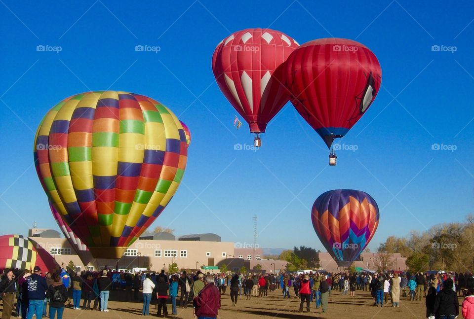 Multi colored hot air balloons