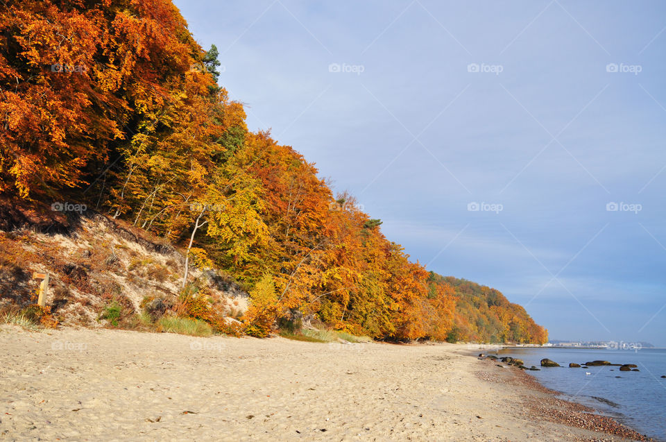 View of beach during autumn