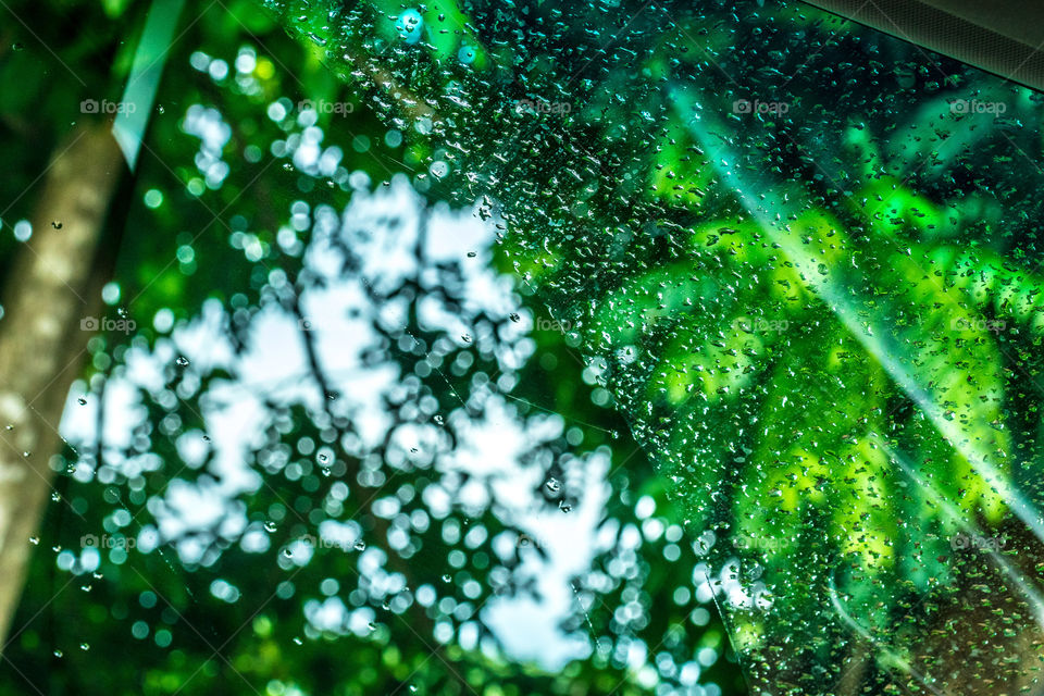 Window with rain drops looking out at bright green tree leafs
