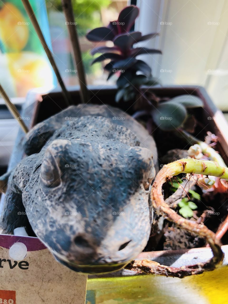 Read.....it....read...it......