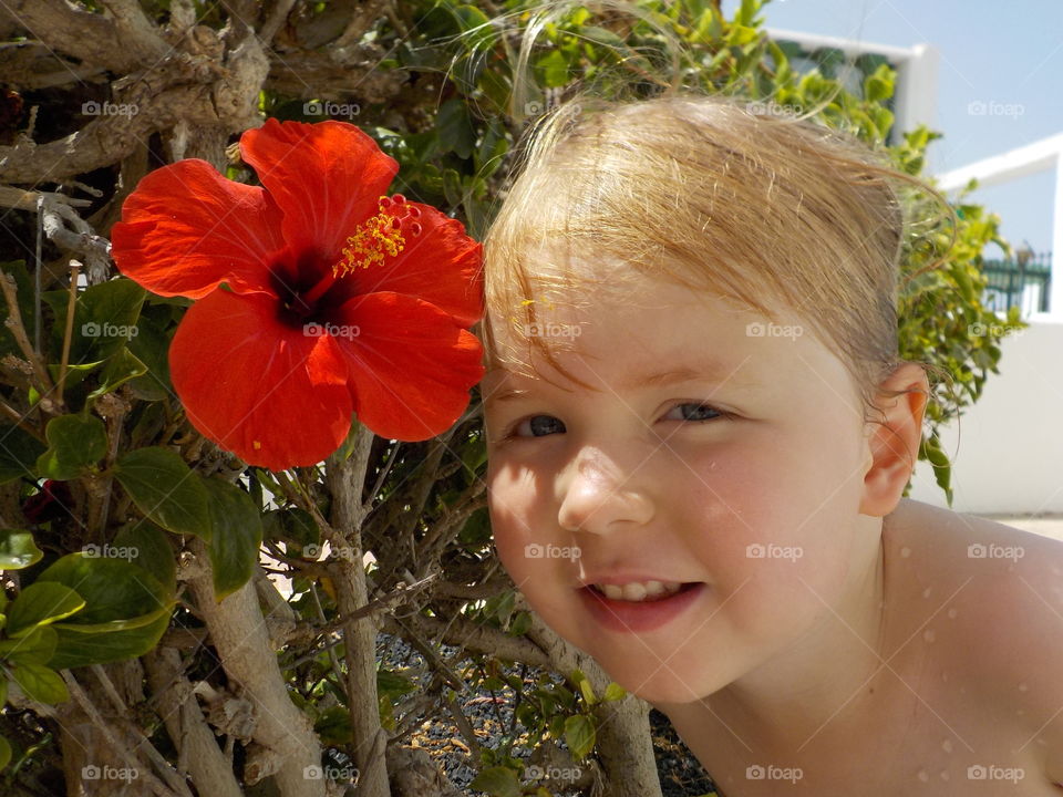 Hibiscus and northern beauty 