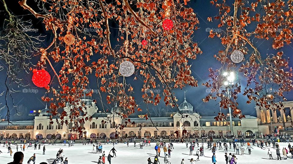 Ice rink