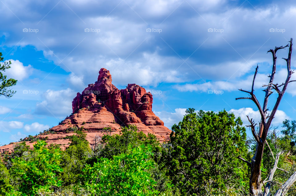 Sedona 21