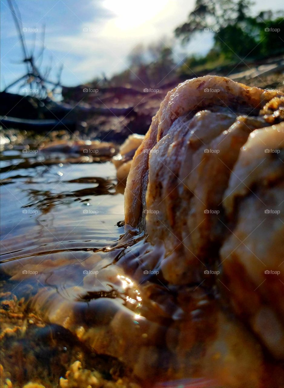 quartz vein running into Folsom lake