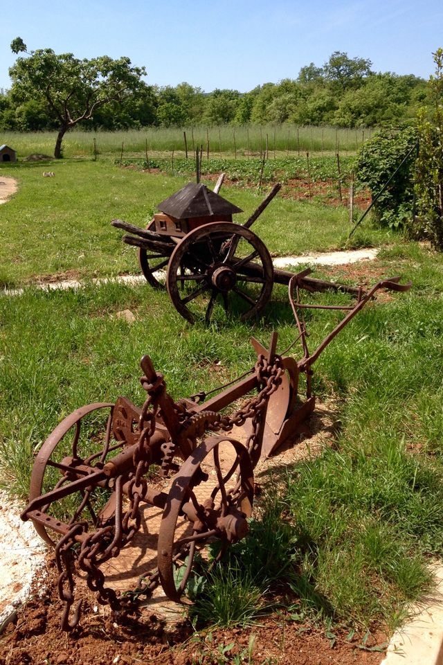 Old tools 