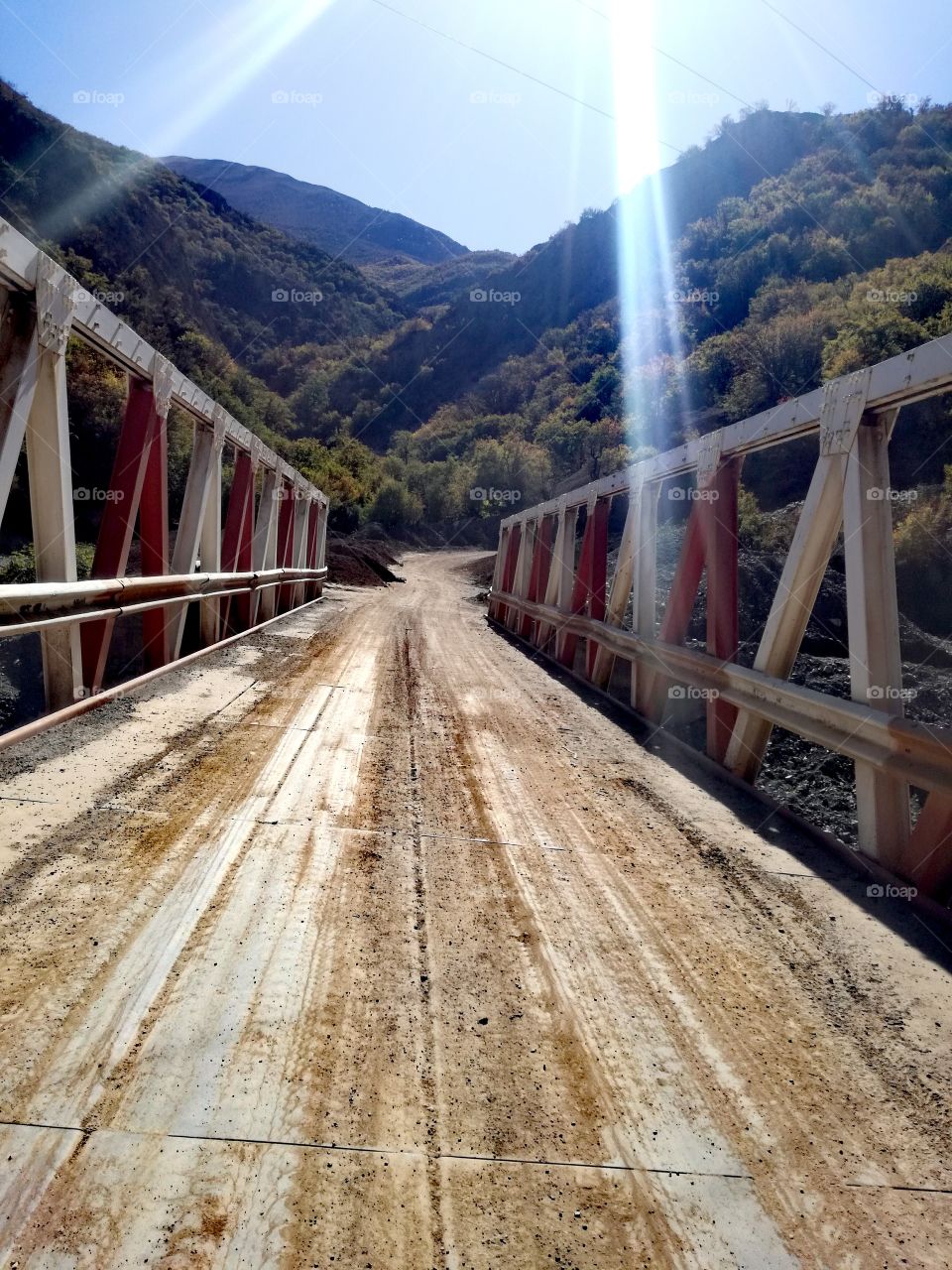 wood bridge