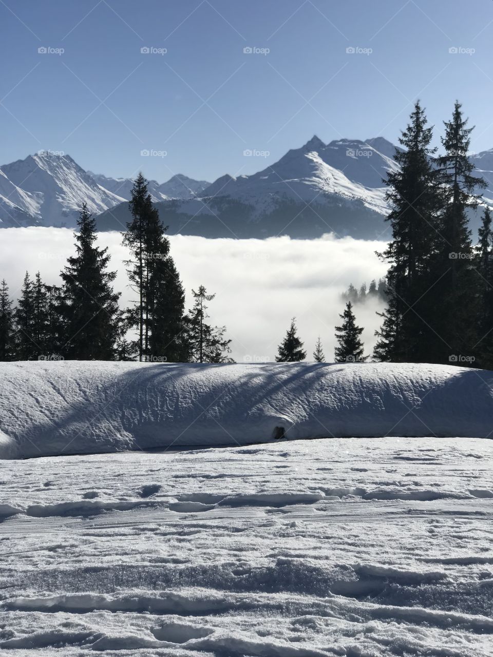 Winter/ Ski 2018