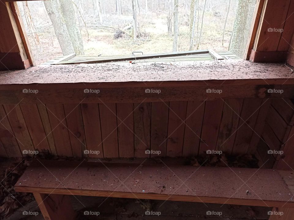 View from the tower window