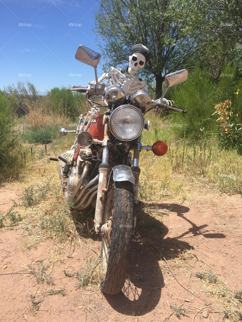 Skeleton on a Motorcycle 