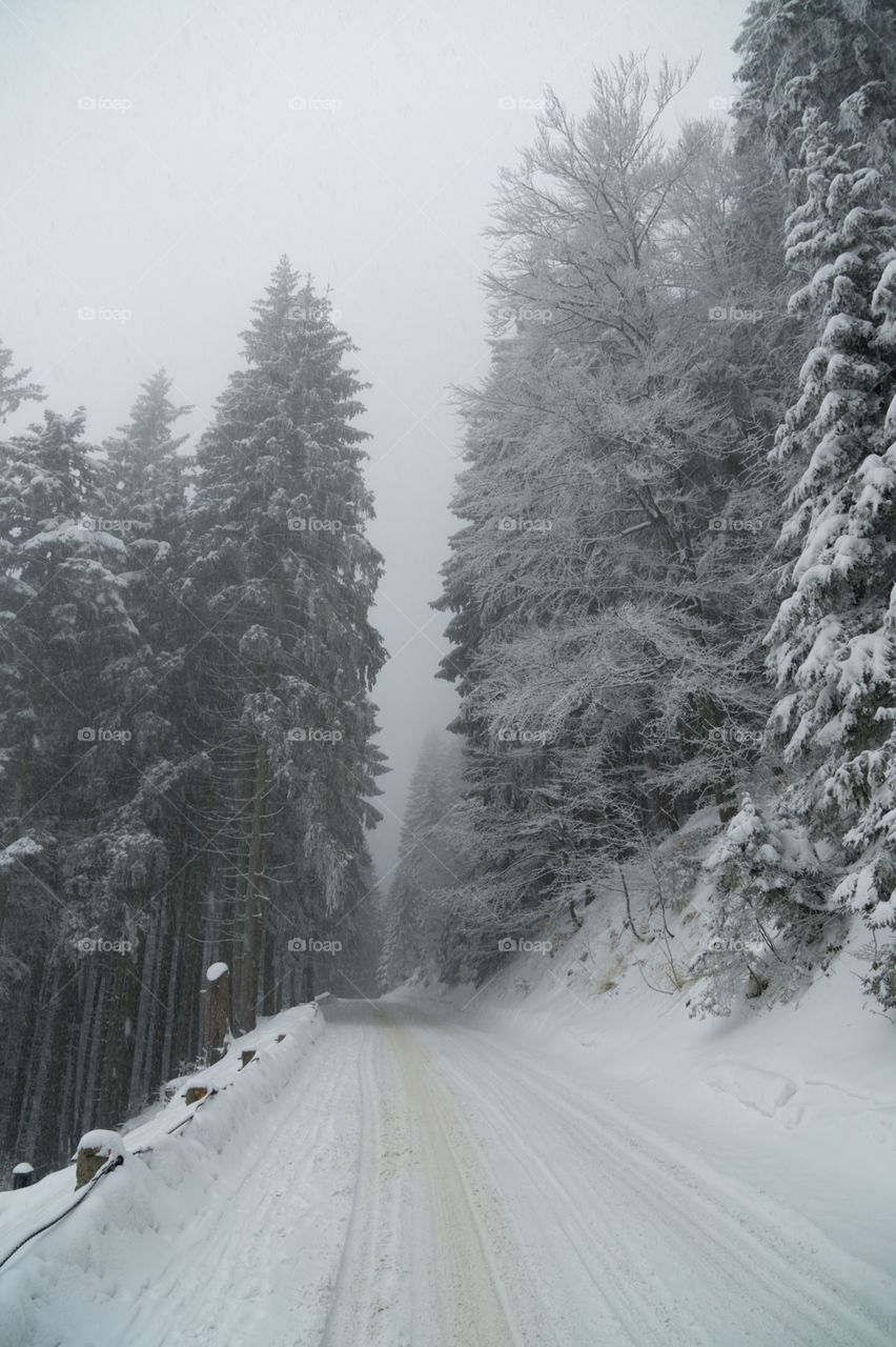 Road in forest covered by snow during winter. Slovakia