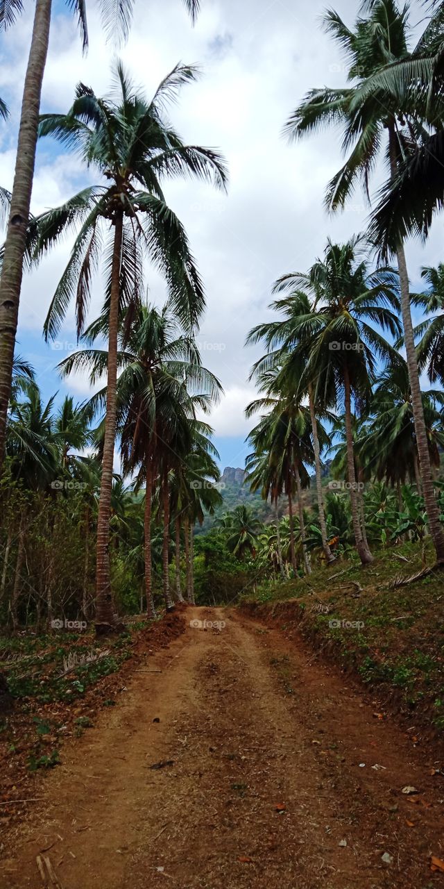 Beautiful mountain in Mt. Marami.