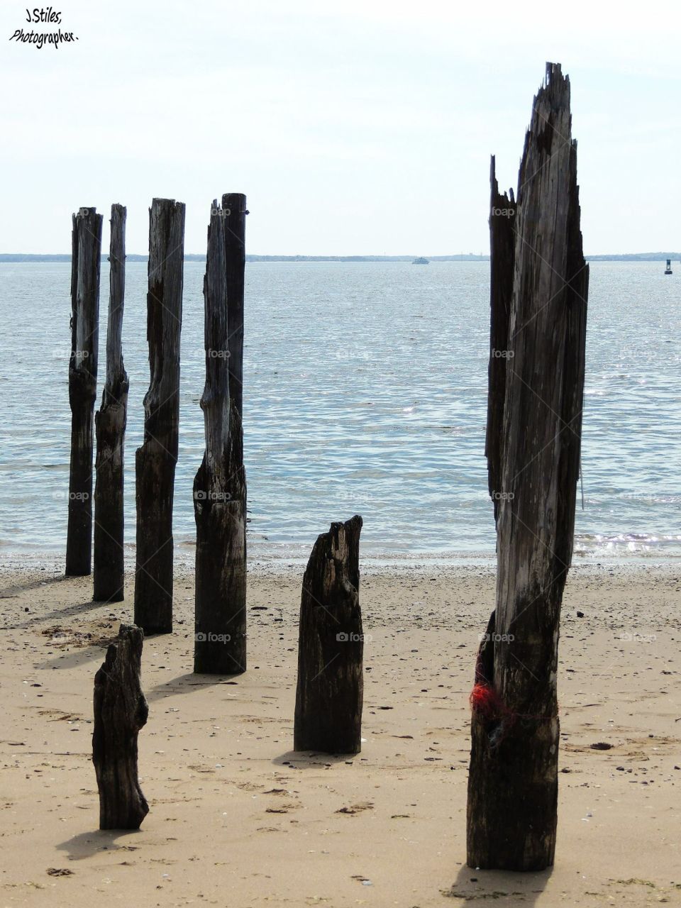 South Shore . Staten Island, NY, April 2015.