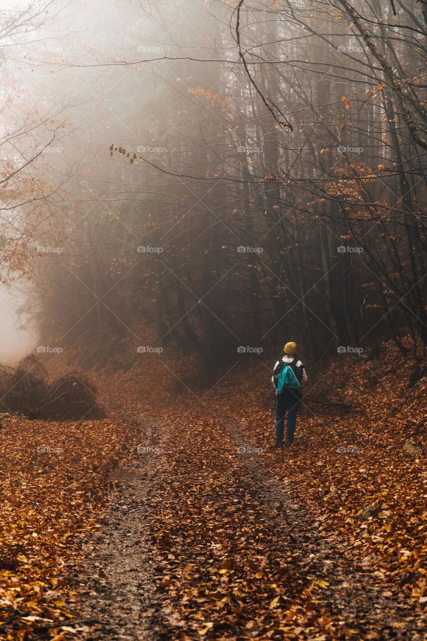 Woman walking in the forest, on a rainy and foggy autumn day.
