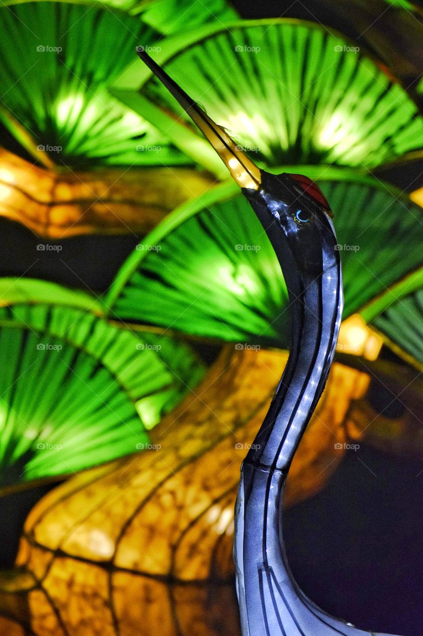 Close-up of heron in lantern