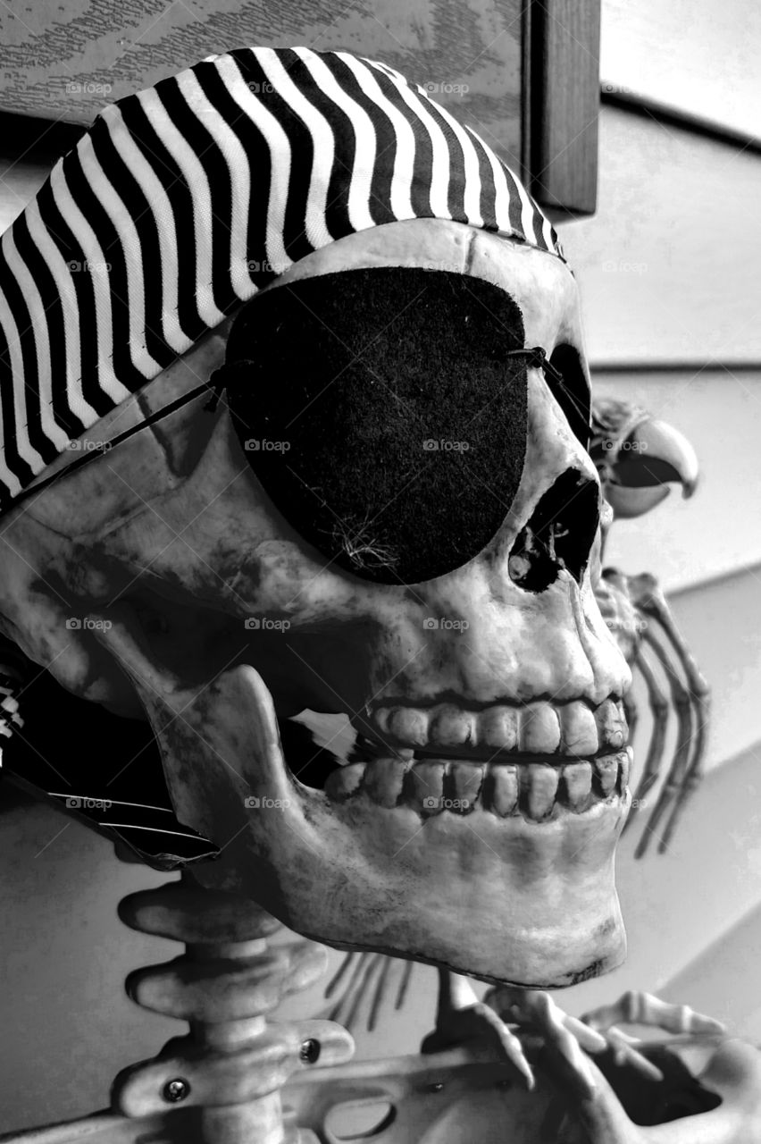 Halloween skeleton pirate decoration