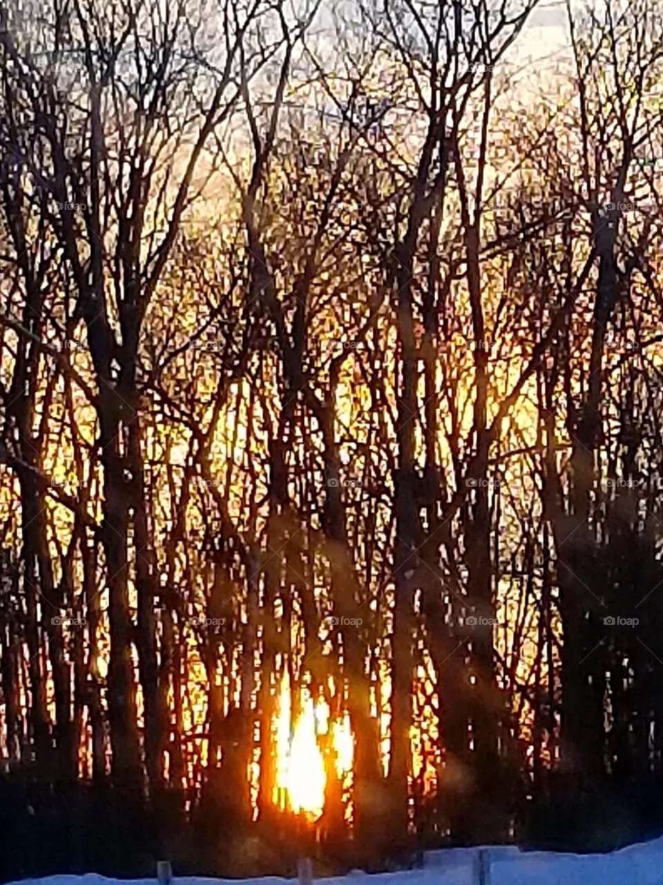 Last minute of a winter sun