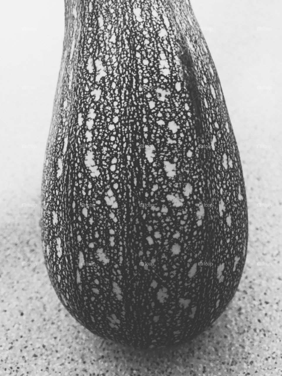 Marrow in black and white on stoned surface 