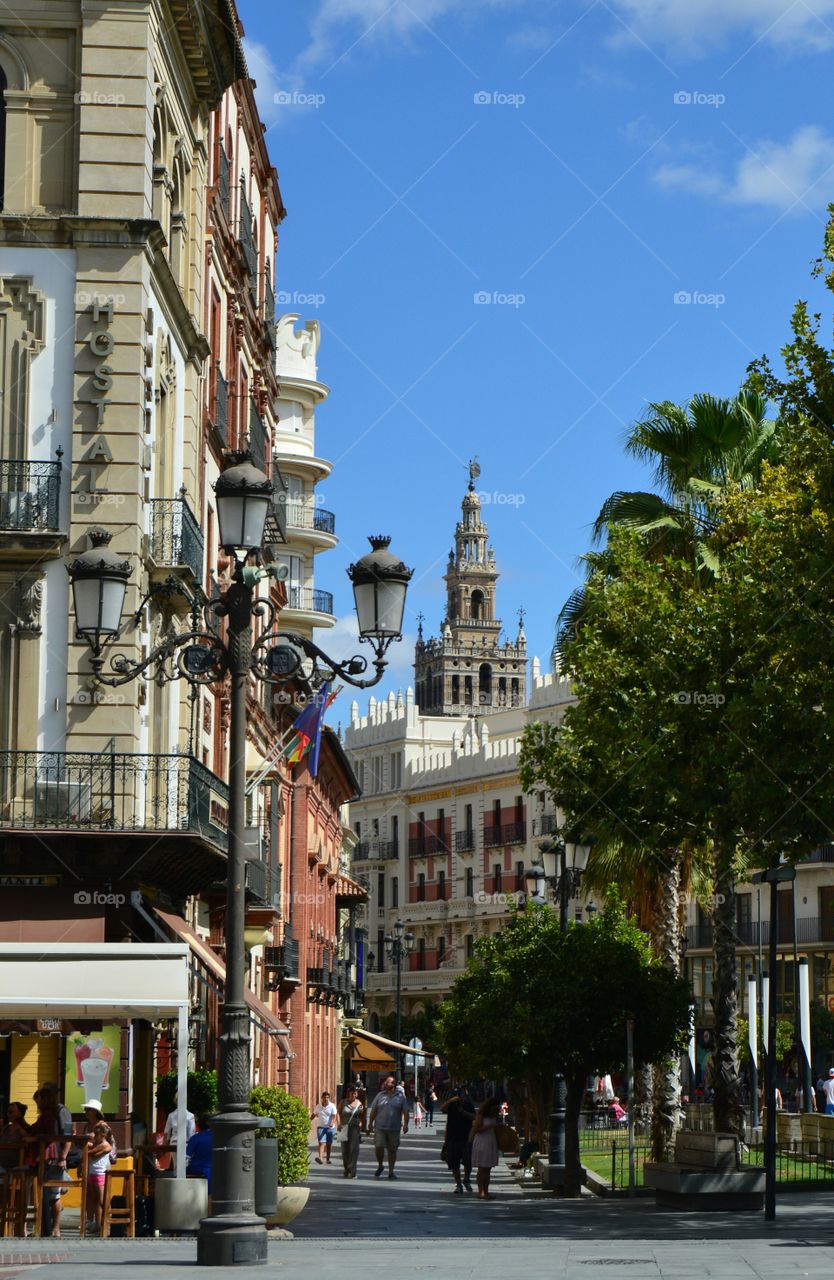 Giralda