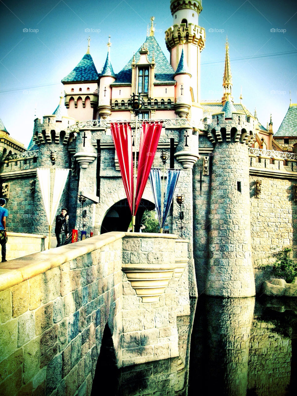 Sleeping Beauty Castle