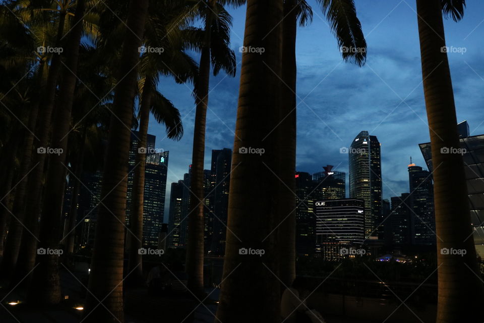 Nightlight, Singapore
