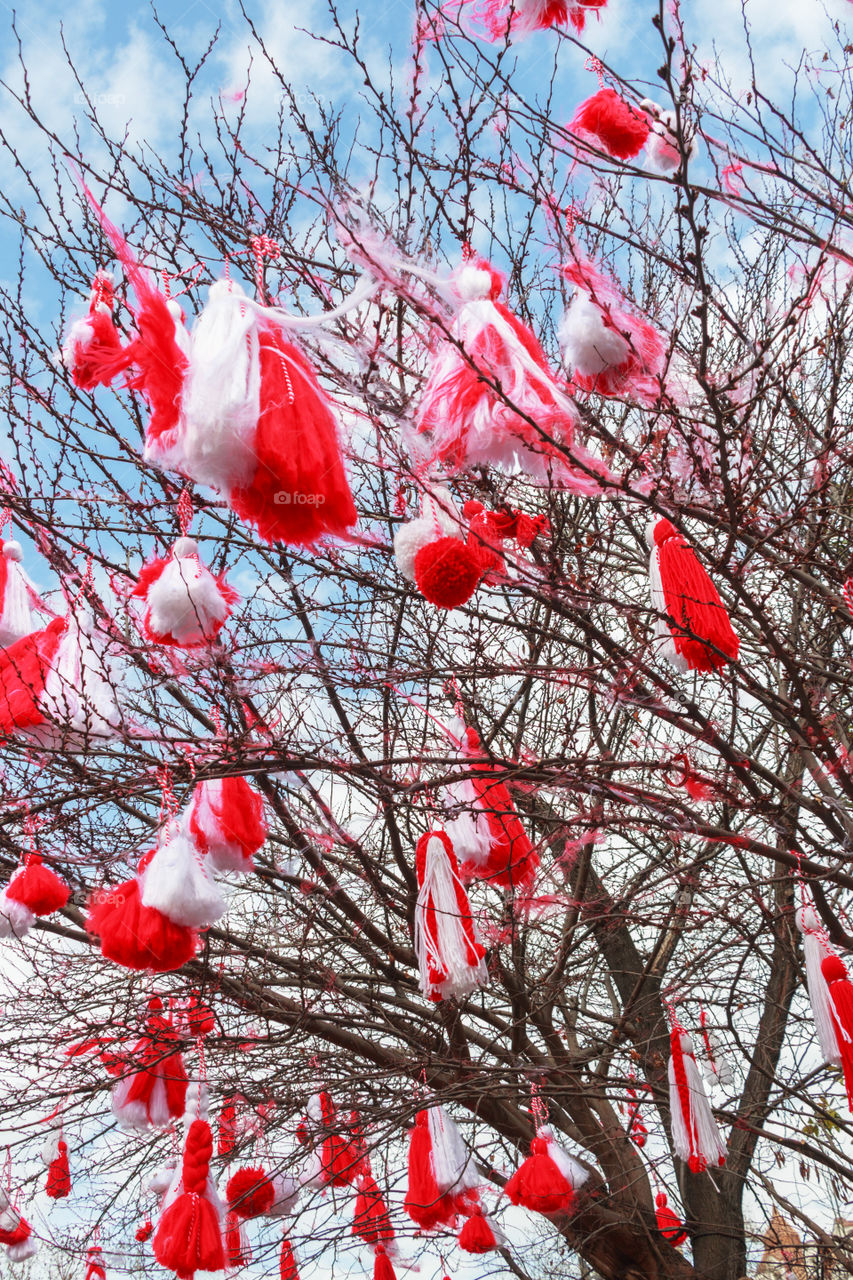 A symbol of approaching spring. Martenitsi tied to a blossoming tree.  Bulgarian tradition - wearing martenitsa (red and white dolls) from March 1 until the wearer first sees a swallow, stork or blooming tree.
