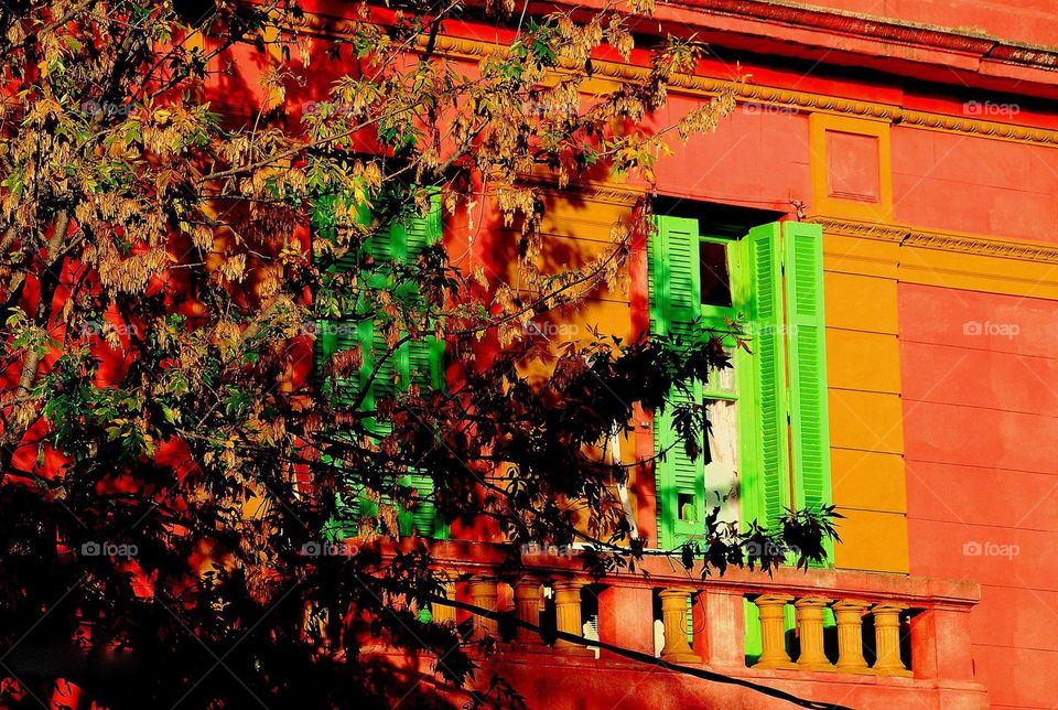 autumn afternoon in Buenos Aires, Argentina