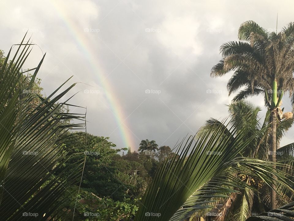 Morning rainbow in Maui