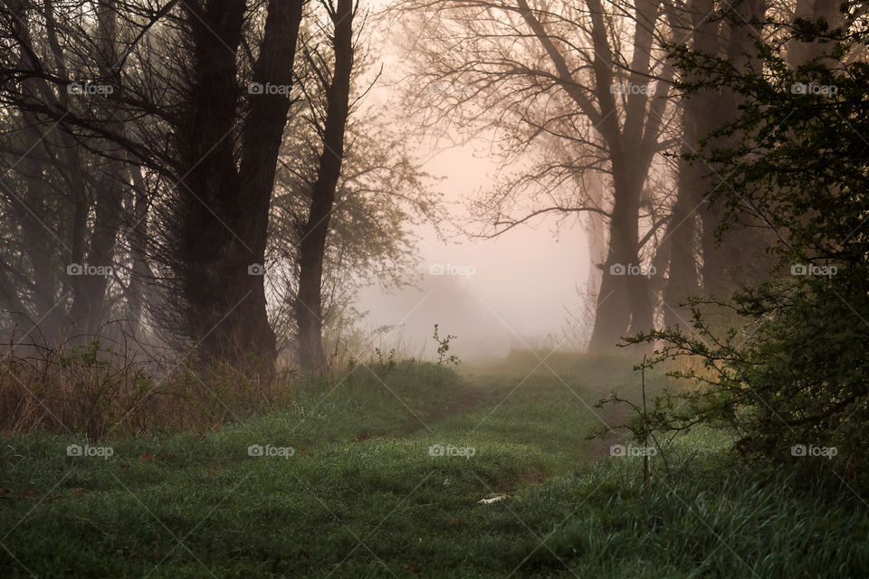 Most kolejowy na rzece Odra, Poland, Stany