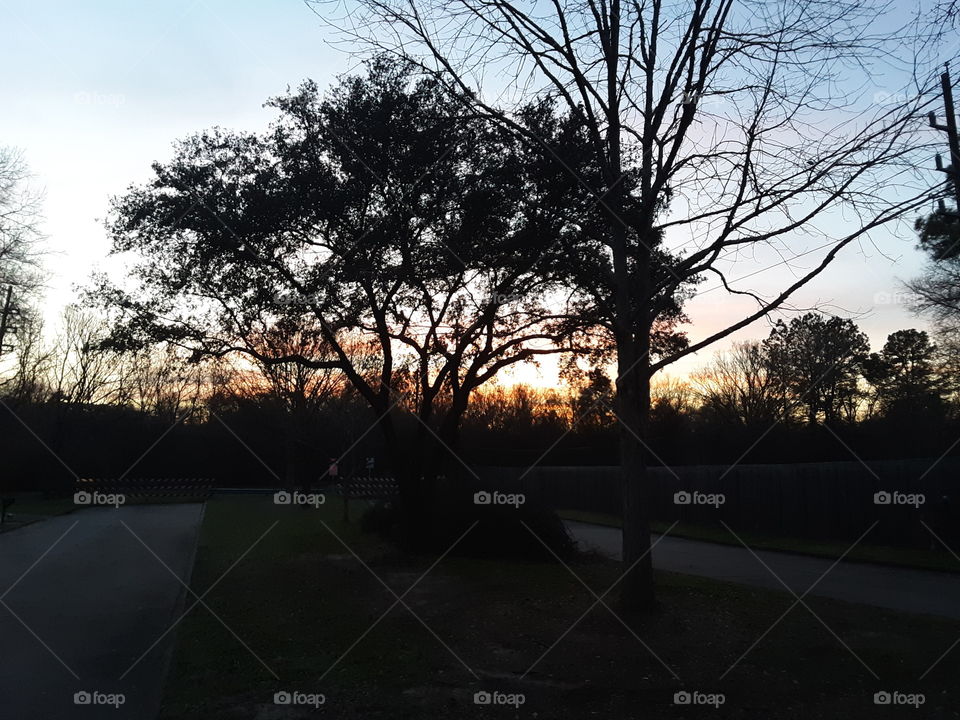 Good Ol' Red 🌞 Sunshine!