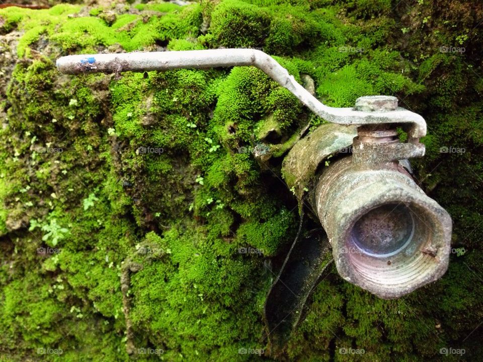 Old tap