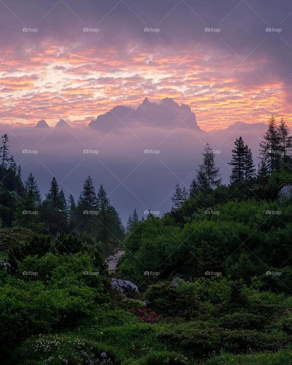 do you like this photo