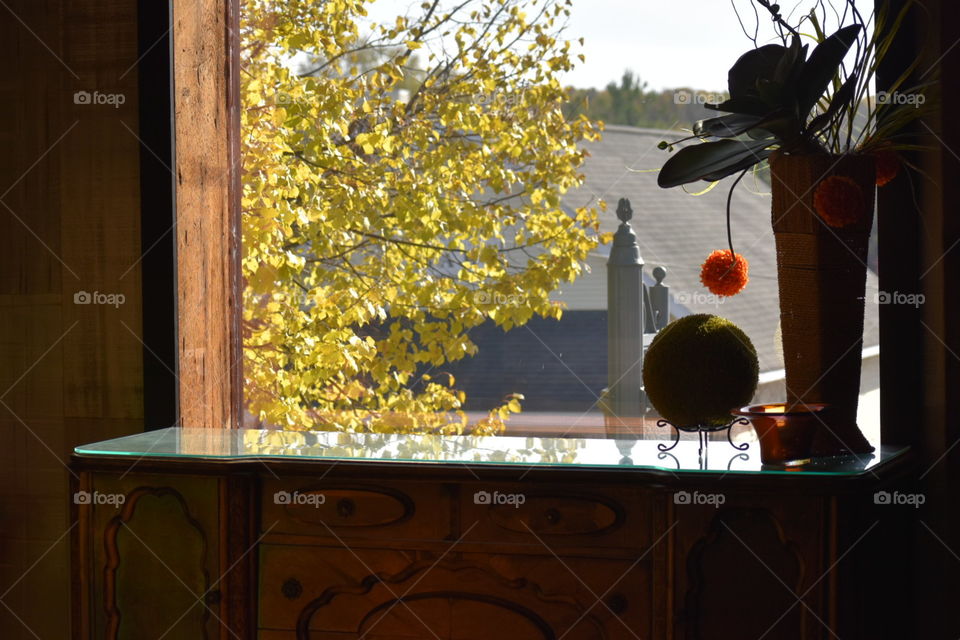 looking out the window