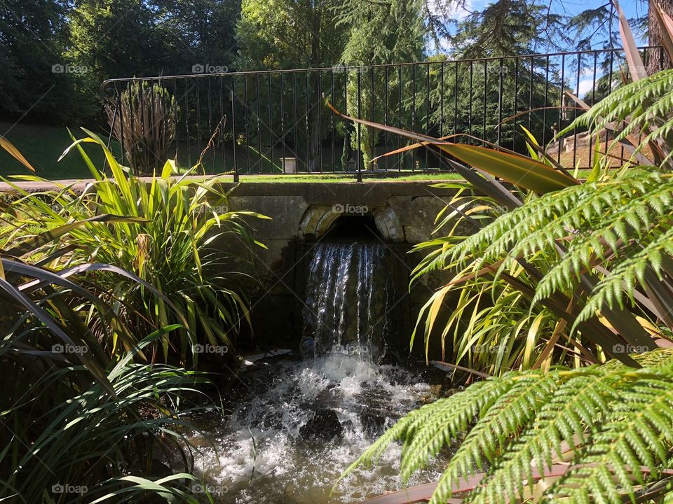 Another lovely shot of a waterfall within the gardens of Bicton in Devon.
