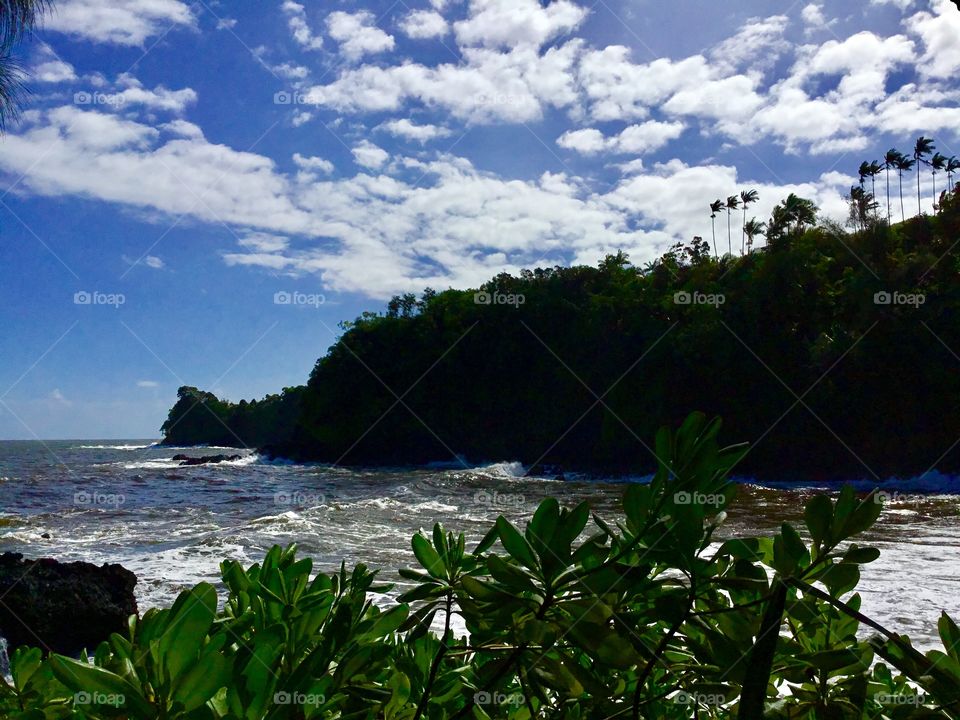 Ocean view at Hawaii Tropical Botanical Garden