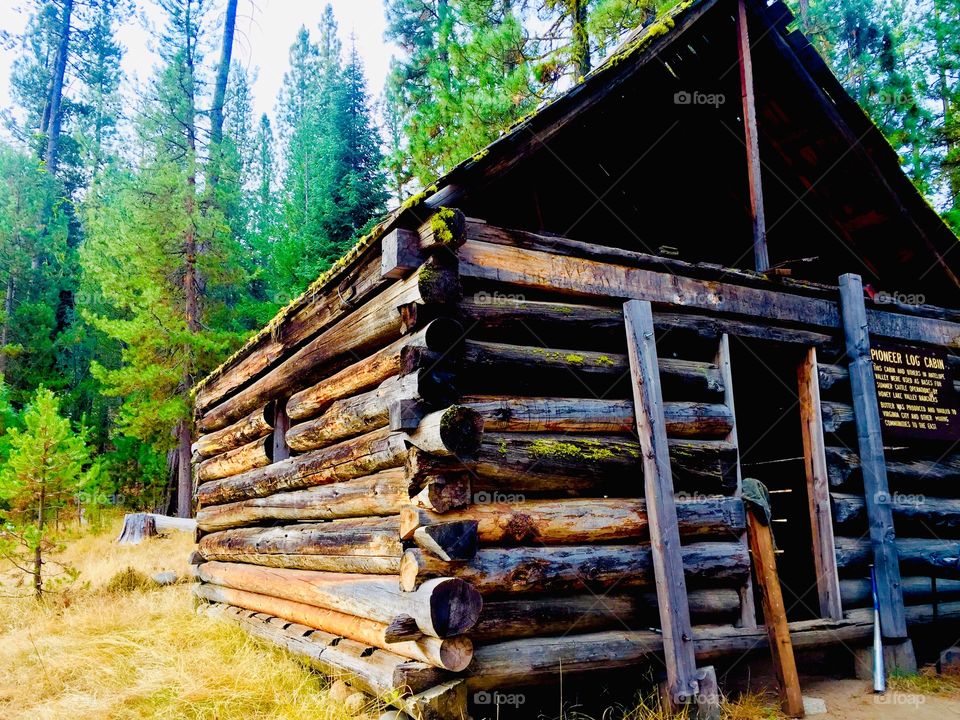 Abandoned cabin