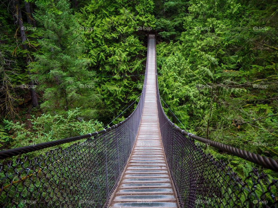 A quiet morning hiking in the woods and coming up to crossing a suspension bridge